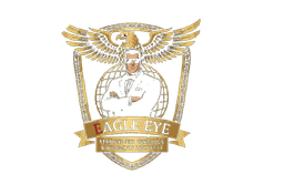 Eagle Eye Logo